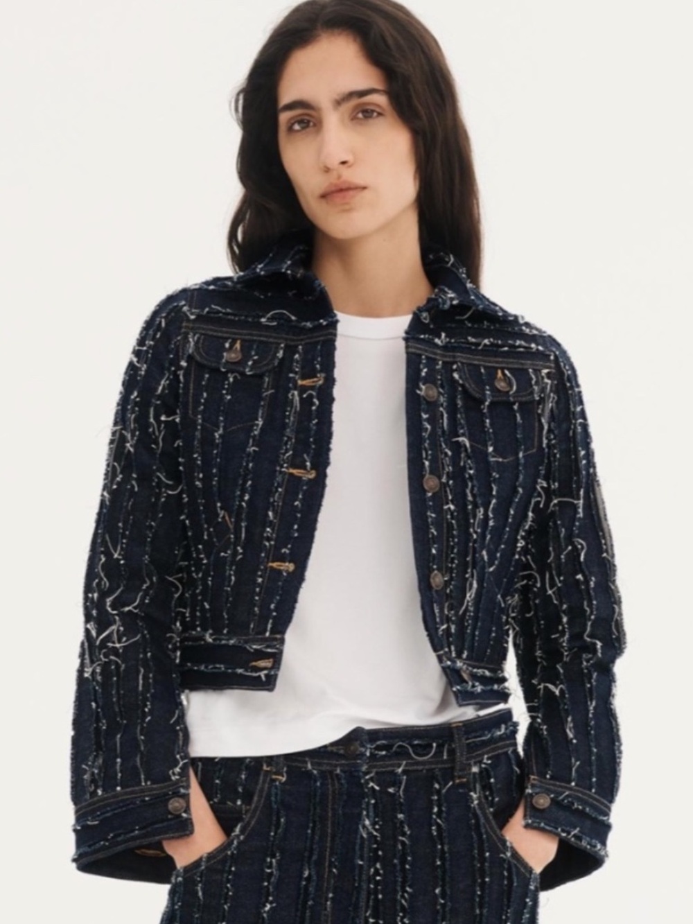 Zara Icons Frayed Crop Jean Jacket